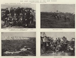 The Army Manoeuvres in the New Forest by English Photographer