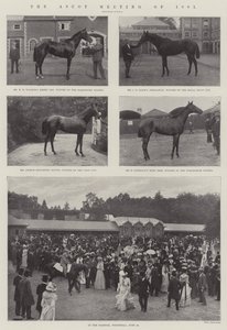 The Ascot Meeting of 1901