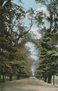 The Broad Walk