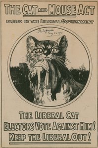 The Cat and Mouse Act by English Photographer