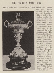 The County Polo Cup
