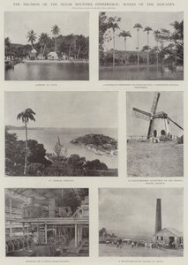 The Decision of the Sugar Bounties Conference, Scenes of the Industry by English Photographer