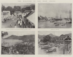 The Disaster in the West Indies