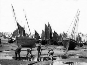 The Fishing Fleet in St Ives Harbour