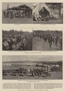 The Grand Manoeuvres on Salisbury Plain