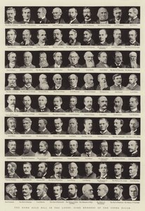 The Home Rule Bill in the Lords, Some Members of the Upper House