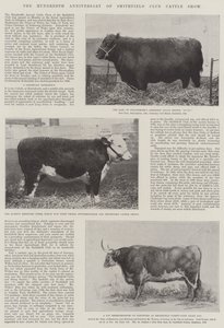 The Hundredth Anniversary of Smithfield Club Cattle Show by English Photographer