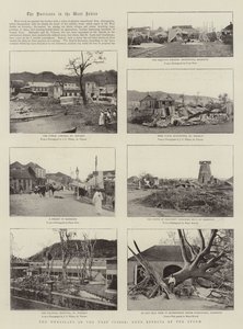 The Hurricane in the West Indies, Some Effects of the Storm