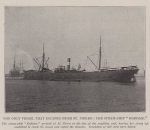 The Only Vessel that escaped from St Pierre, the Steam-Ship Roddam by English Photographer