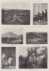 The Plague in Bombay, Views of the Town
