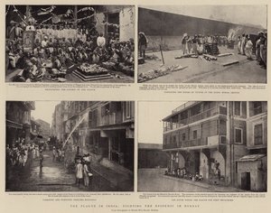 The Plague in India, Fighting the Epidemic in Bombay