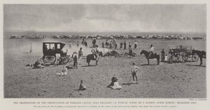 The Prohibition of the Importation of Foreign Cattle into England, a Typical Scene on a Buenos Aires Ranch, Branding Day