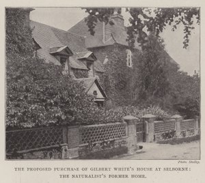 The Proposed Purchase of Gilbert White