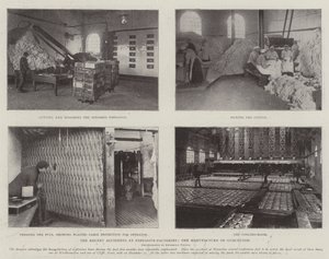 The Recent Accidents at Explosive-Factories, the Manufacture of Guncotton by English Photographer