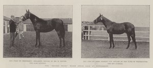 The Record Price Blood Stock Sale at Newmarket by English Photographer