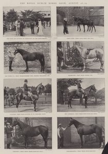 The Royal Dublin Horse Show, 26-29 August