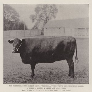 The Smithfield Club Cattle Show, Frederica, the Queen