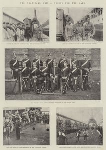 The Transvaal Crisis, Troops for the Cape