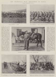 The Transvaal War, Defenders of Natal