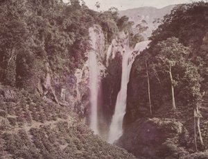 The Twin Falls (Coffee Growing in Foreground), Ceylon by English Photographer