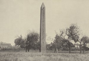 The obelisk of Heliopolis where Moses was educated by English Photographer