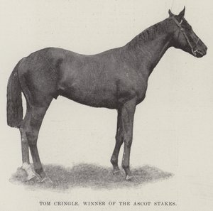 Tom Cringle, Winner of the Ascot Stakes by English Photographer