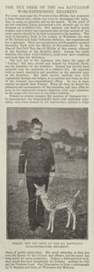 Tommy, the Pet Deer of the 4th Battalion Worcestershire Regiment by English Photographer