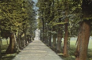 Trinity College, the Avenue