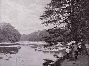 Wanstead Park