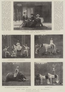 What the Queen saw at Balmoral by English Photographer