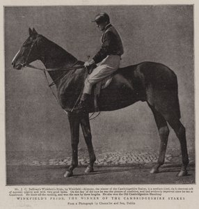 Winkfields Pride, the Winner of the Cambridgeshire Stakes