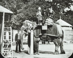 Zoological Gardens, Regents Park: Elephant with Adults and Children Having a Ride, London Zoo, 1894 by English Photographer