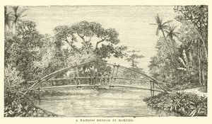 A Bamboo Bridge in Borneo by English School