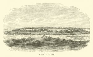 A Coral Island by English School