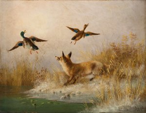 A Fox Flushing a Mallard and a Duck by English School