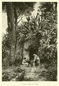 A Garden Spring in Capri