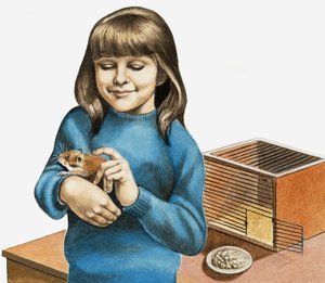 A Girl and Her Hamster by English School