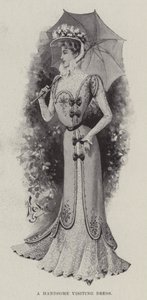 A Handsome Visiting Dress
