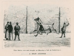 A High Stepper - this horse was not bought at Hamleys but at Tattersalls by English School