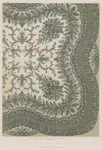A Lace Shawl by English School