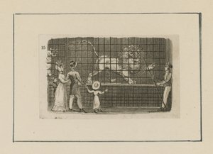 A Lion in City Scenes