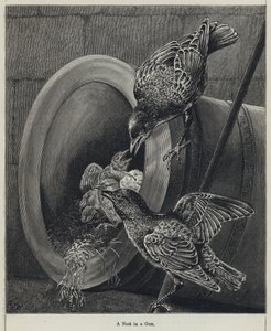 A Nest in a Gun by English School