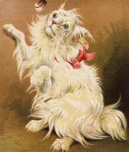 A Persian Pussy by English School