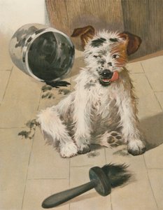 A Ragamuffin
