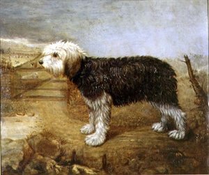 A Sheepdog, Fields Beyond by English School