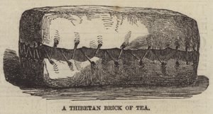 A Thibetan Brick of Tea by English School