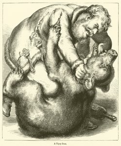 A Tipsy Bear by English School