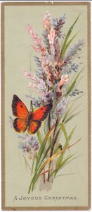 A Victorian Christmas card of a butterfly amongst tall grasses, c.1880 by English School