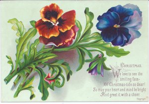 A Victorian Christmas card of a spray on pansies by English School