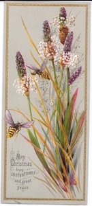 A Victorian Christmas Card of Two Bees Amongst Tall Grasses (c.1880) by English School